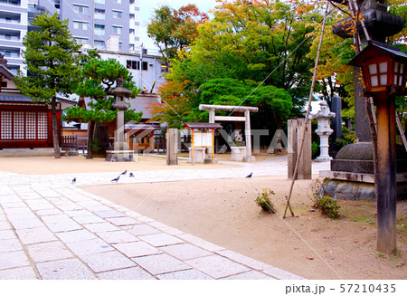 【長野】秋の松本 四柱神社の境内 【長野】秋の松本 四柱神社の境内 57210435