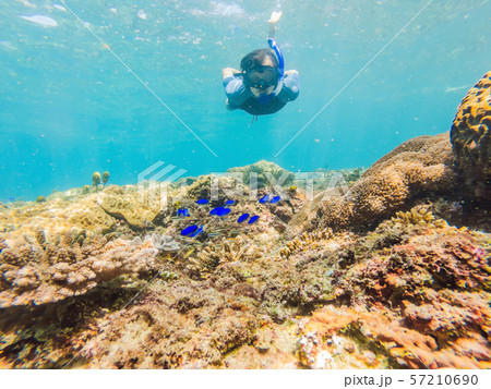 Man snorkeling underwater on a reef with soft coral and tropical fish 57210690