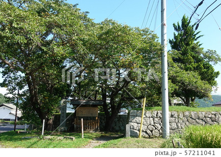 龍岡城枡形 龍岡城枡形 57211041