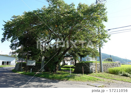 龍岡城枡形 57211056