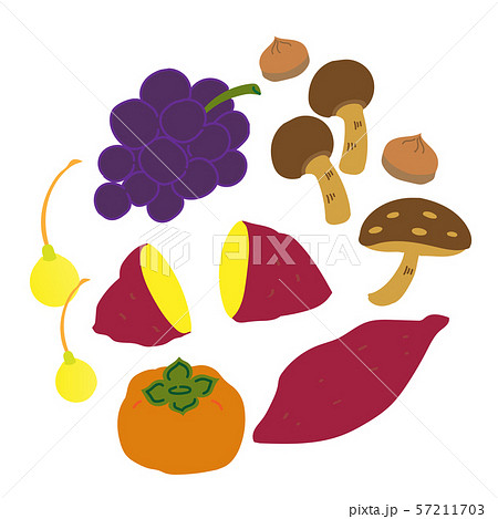 秋の食べ物のイラストのイラスト素材 57211703 Pixta