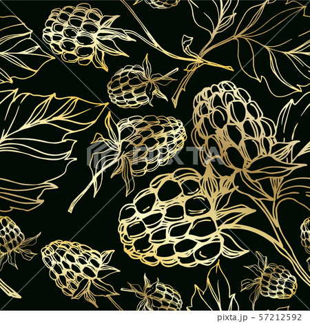 Vector Raspberry healthy food isolated. Black and white engraved ink art. Seamless background 57212592