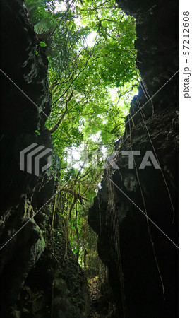 沖縄県　伊良部島　ヌドクビアブ 57212608