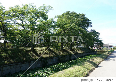 龍岡城の堀 57213697