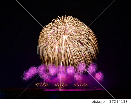 海上の冠菊 かむろぎく 柏崎まつり海の大花火大会の写真素材