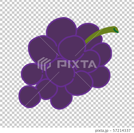 秋天例證葡萄 57214337