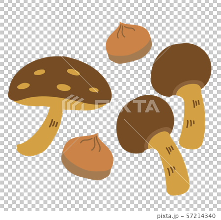 秋のイラスト きのこ まつたけ 栗 しいたけのイラスト素材