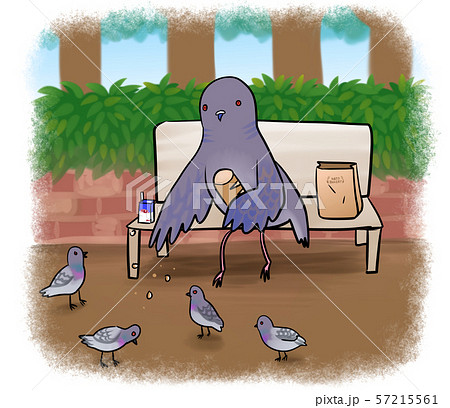 公園でドバトたちにエサを与えるキジバトのイラストのイラスト素材