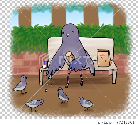 Illustration of a pheasant feeding pigeons at the park 57215561