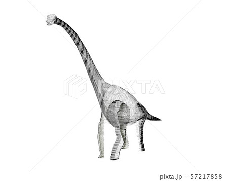 Diplodocus   dinosaurs  ,3d rendering wire frame 57217858
