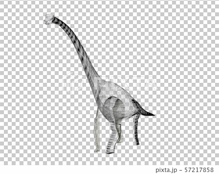 Diplodocus   dinosaurs  ,3d rendering wire frame 57217858