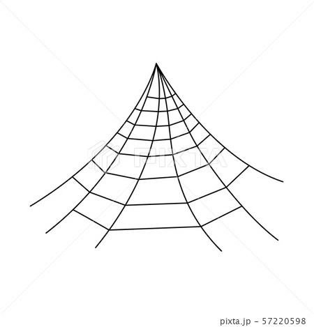 Hanging spider web isolated on white background. 57220598