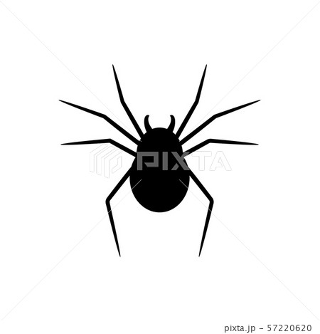 Black silhouette of spider isolated on white 57220620