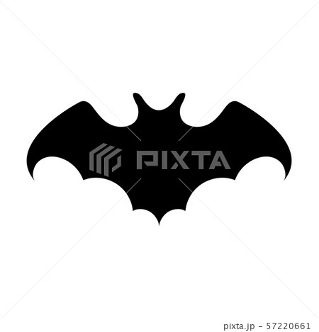 Black silhouette of bat isolated on white Black silhouette of bat isolated on white 57220661