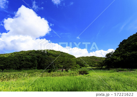 小網代の森（秋） 57221622