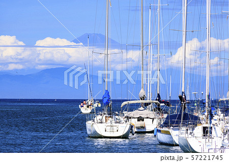 入江 入江 57221745