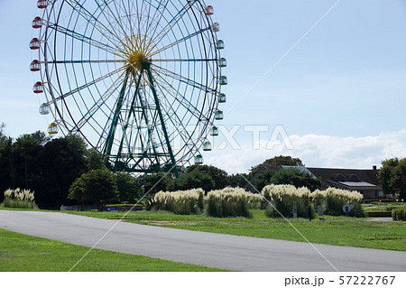 観覧車 ひたち海浜公園 茨城県 観覧車 ひたち海浜公園 茨城県 57222767