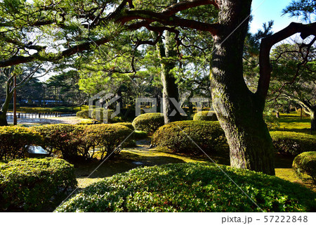 冬の兼六園 冬の兼六園 57222848