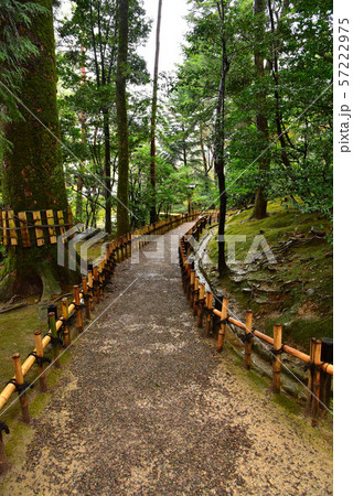 冬の兼六園 冬の兼六園 57222975