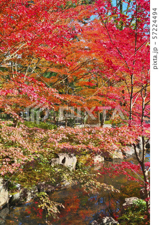 錦秋の長岡天満宮 57224494