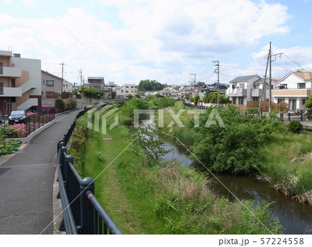 野川 野川 57224558