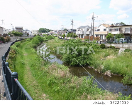 野川 57224559