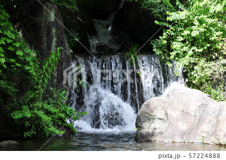万博記念公園 日本庭園 木漏れ日の滝 万博記念公園 日本庭園 木漏れ日の滝 57224888