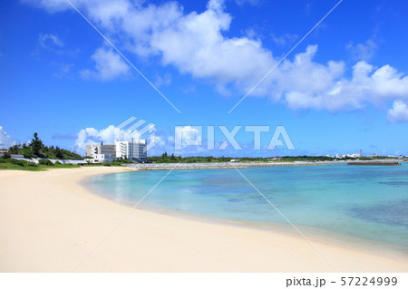 与論島 茶花海岸 与論島 茶花海岸 57224999