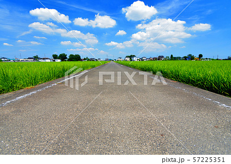 まっすぐ続く田舎の道 まっすぐ続く田舎の道 57225351