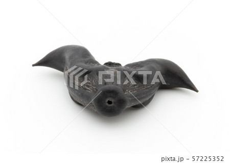 ヒシノミ　菱の実　菱角: Water Caltrop 57225352