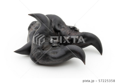 ヒシノミ　菱の実　菱角: Water Caltrop 57225358