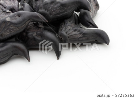 ヒシノミ 菱の実 菱角: Water Caltrop ヒシノミ 菱の実 菱角: Water Caltrop 57225362