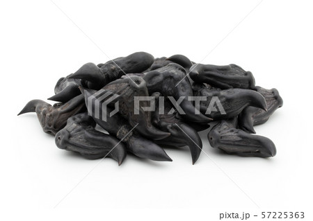 ヒシノミ 菱の実 菱角: Water Caltrop ヒシノミ 菱の実 菱角: Water Caltrop 57225363