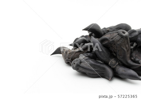 ヒシノミ　菱の実　菱角: Water Caltrop 57225365