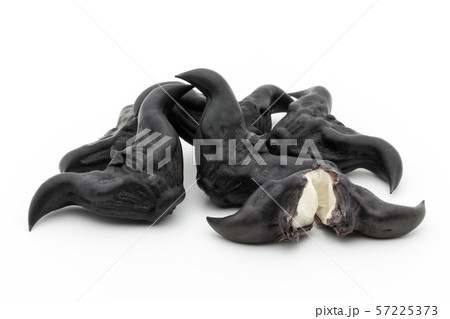 ヒシノミ　菱の実　菱角: Water Caltrop 57225373