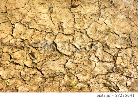 ひび割れた地面　水不足のイメージ 57225641
