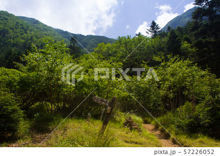 八ヶ岳 山道分岐点 八ヶ岳 山道分岐点 57226052