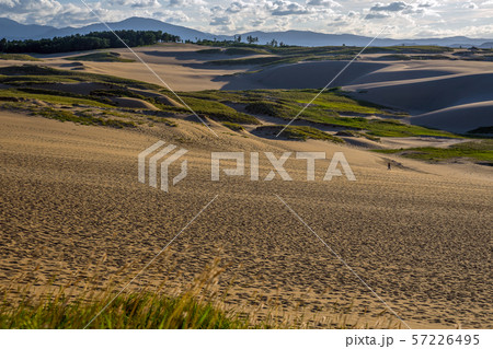 夕暮れの鳥取砂丘 57226495