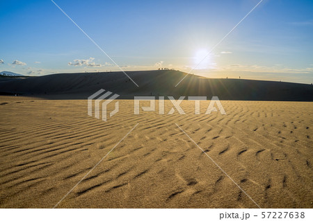 夕暮れの鳥取砂丘 57227638