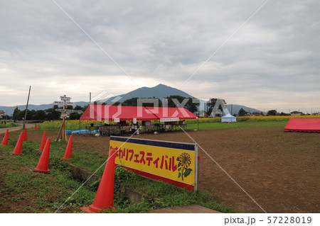 あけのひまわりフェスティバル あけのひまわりフェスティバル 57228019