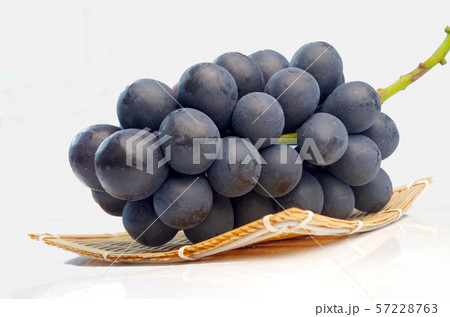 ナガノパープル ナガノパープル 57228763