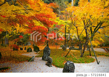 太宰府　光明禅寺の紅葉 57228841
