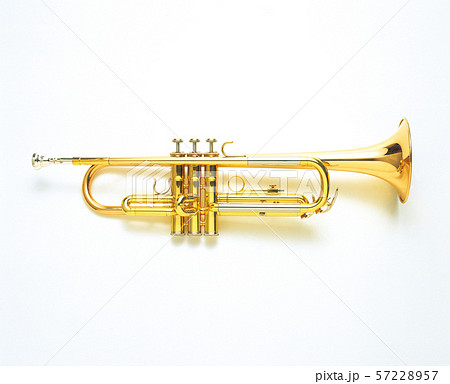 トランペット トランペット 57228957