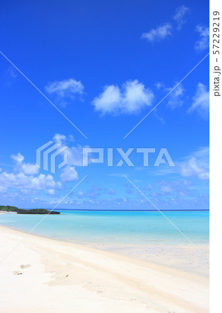 与論島 大金久海岸 57229219