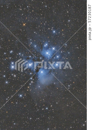 すばる、プレセペ星団 57230187