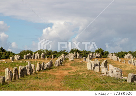 Alignements de Carnac - Alignements de Kermario Alignements de Carnac - Alignements de Kermario 57230920