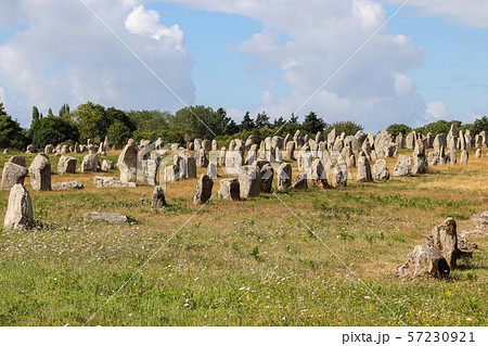 Alignements de Carnac - Alignements de Kermario 57230921