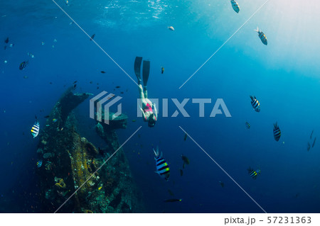 Girl freediver swimming with fins at Liberty wreck ship. Freediving in blue ocean Girl freediver swimming with fins at Liberty wreck ship. Freediving in blue ocean 57231363