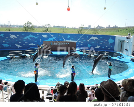 イルカショー・仙台うみの杜水族館 57231535