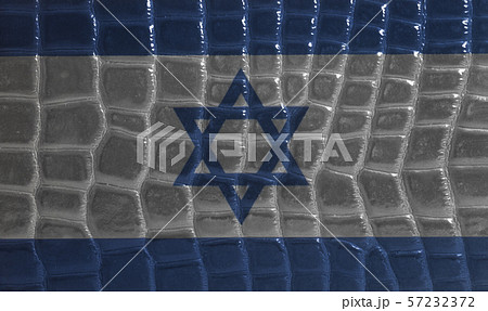 Flag of Israel on a snake skin leather texture Flag of Israel on a snake skin leather texture 57232372